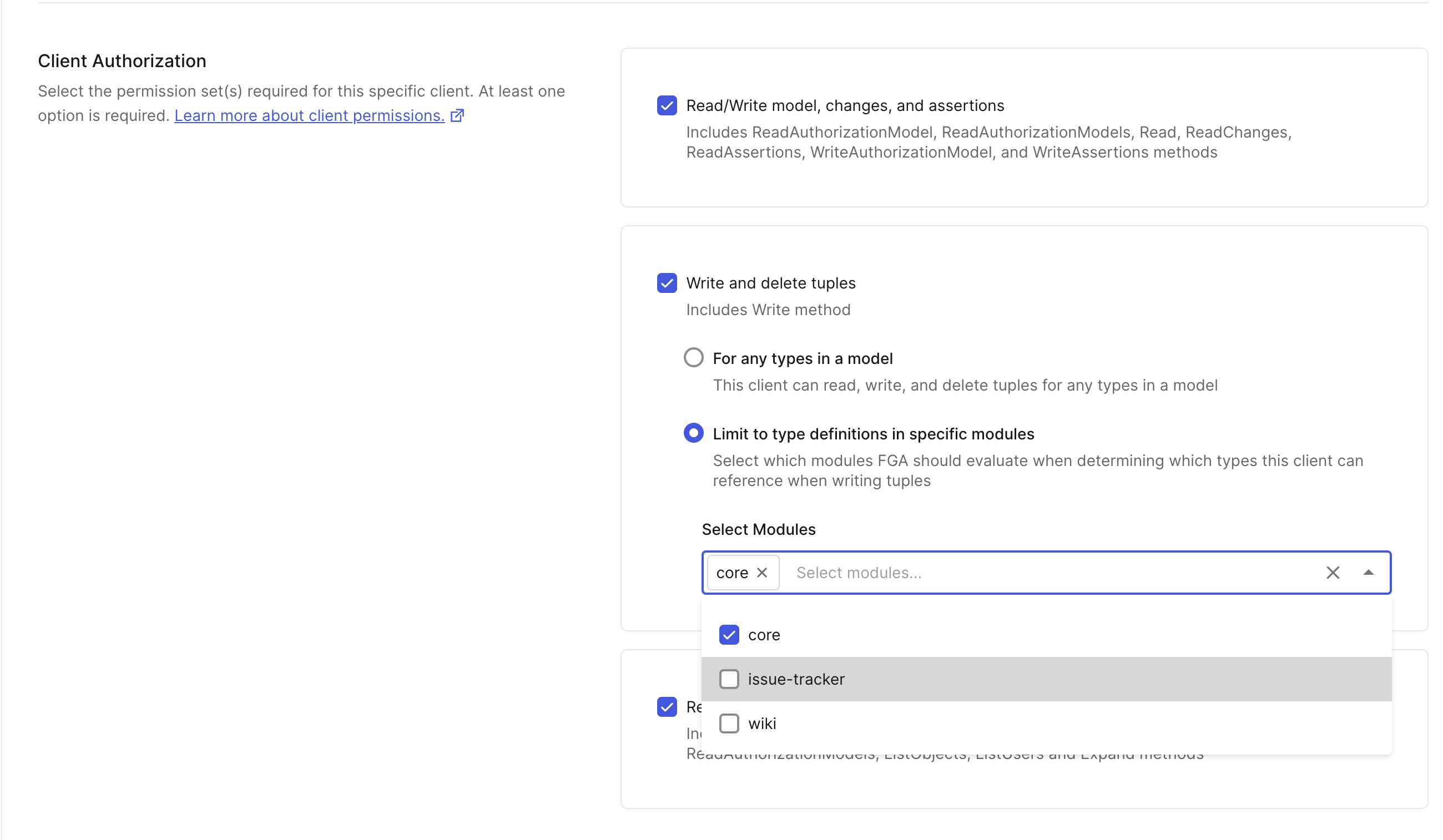 Image showing Client Credential settings with modular authorization selections